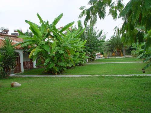 Banana Place Aparthotel Zacharo Esterno foto